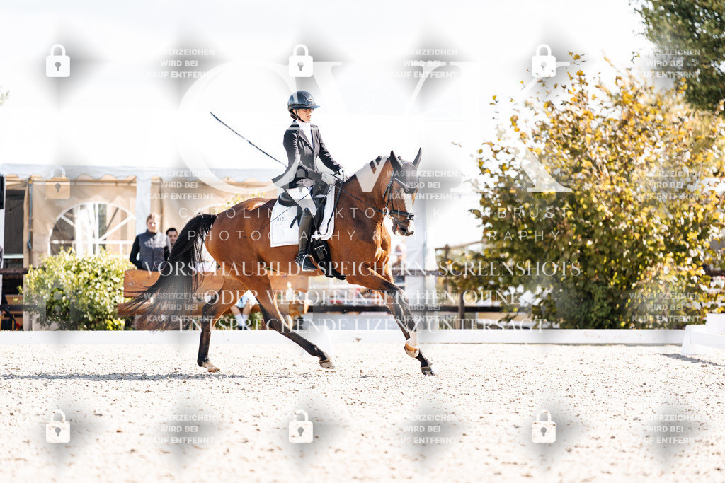 CK902309 | Turnierfotografie Pferdefotografie Trier Rheinland-Pfalz Pferdesport Reitsport Tierfotografie Sportfotografie Pferdevideo Pferdevideografie Equestrianvideography equestrianphotography  - Realisiert mit Pictrs.com