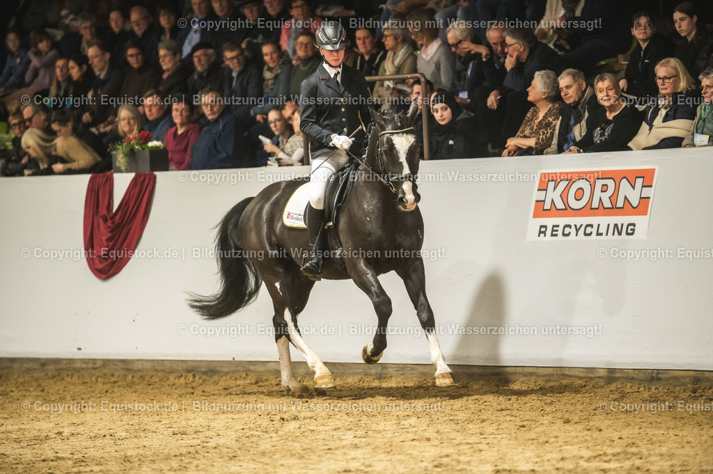 20240302_Hengstvorstellung_Marbach_TOMsPiC_0725 | equistock