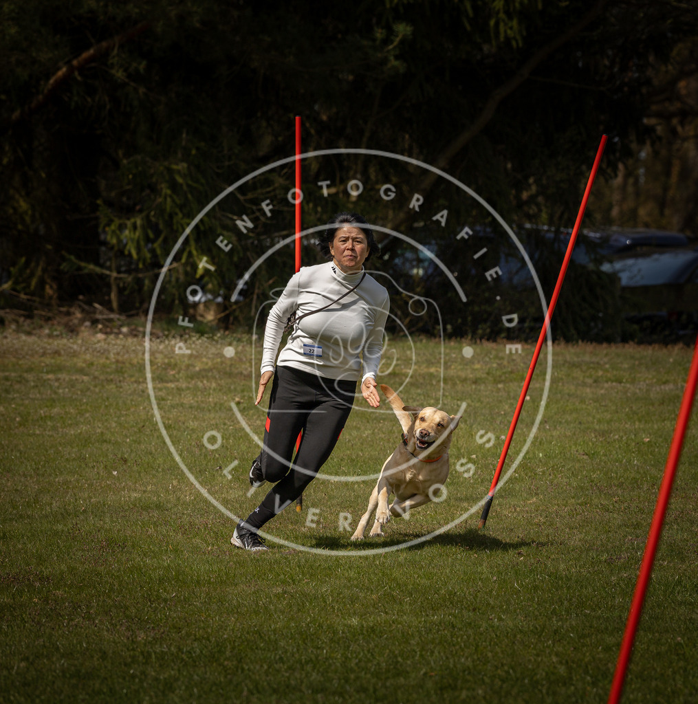 Pfotenfotografie_DV3A4373 | Hundefotografie, Tierfotograf, Pfotenfotografie, Fotoshooting Hund, Hunde Portrait, Hundesport, Hundeportraits, Heideshooting, Hunde, Sportfotograf, Hundefotograf, Turnierhundsport, THS,  - Realisiert mit Pictrs.com