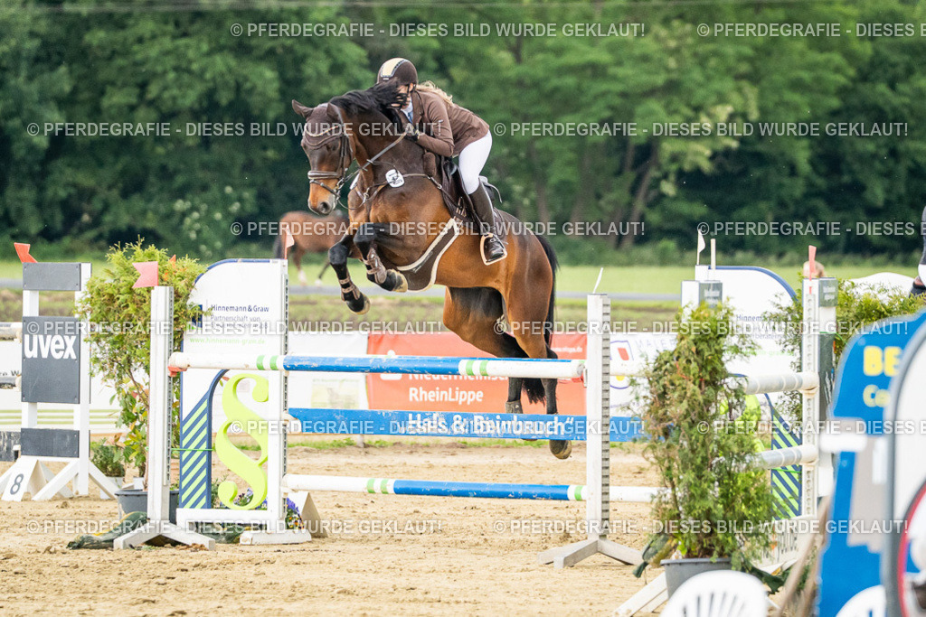 DSC06644 | Pferdegrafie