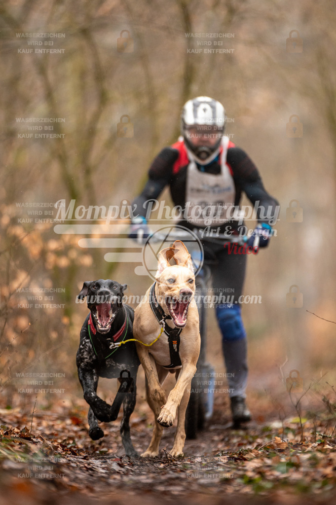 Reiat2023_SON_DS2_5km_2H-4 | PayLife