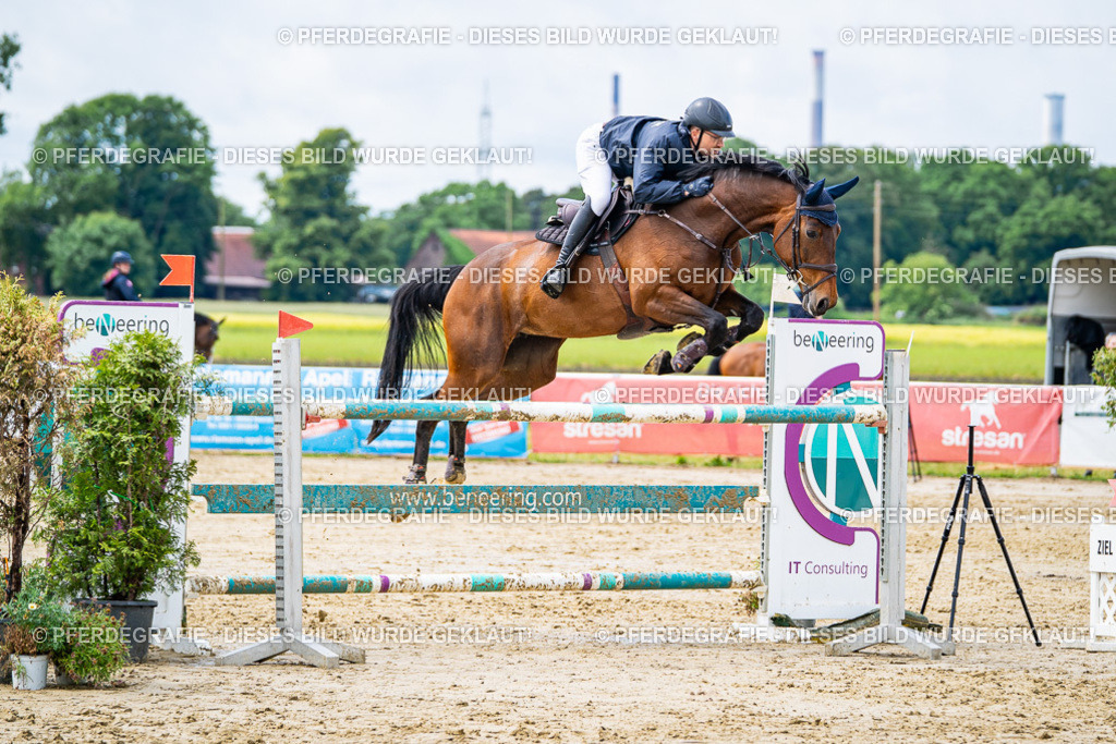 DSC04023 | Pferdegrafie