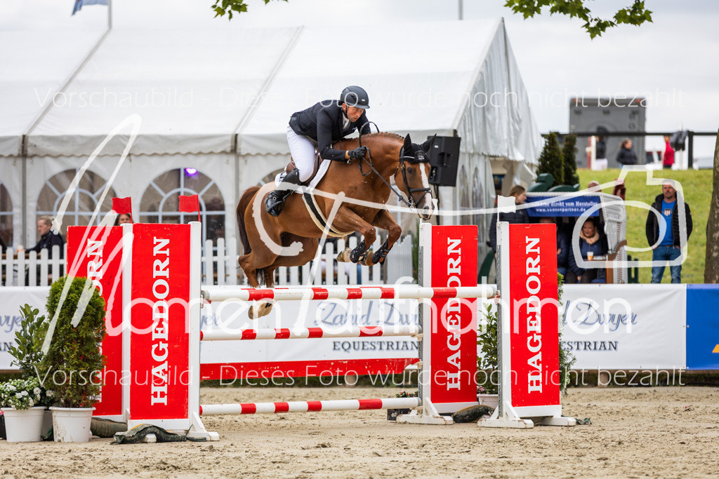 BHO-2PhSpr-M-5-2384 | MomenTaufnahmen Pferdesportfotos