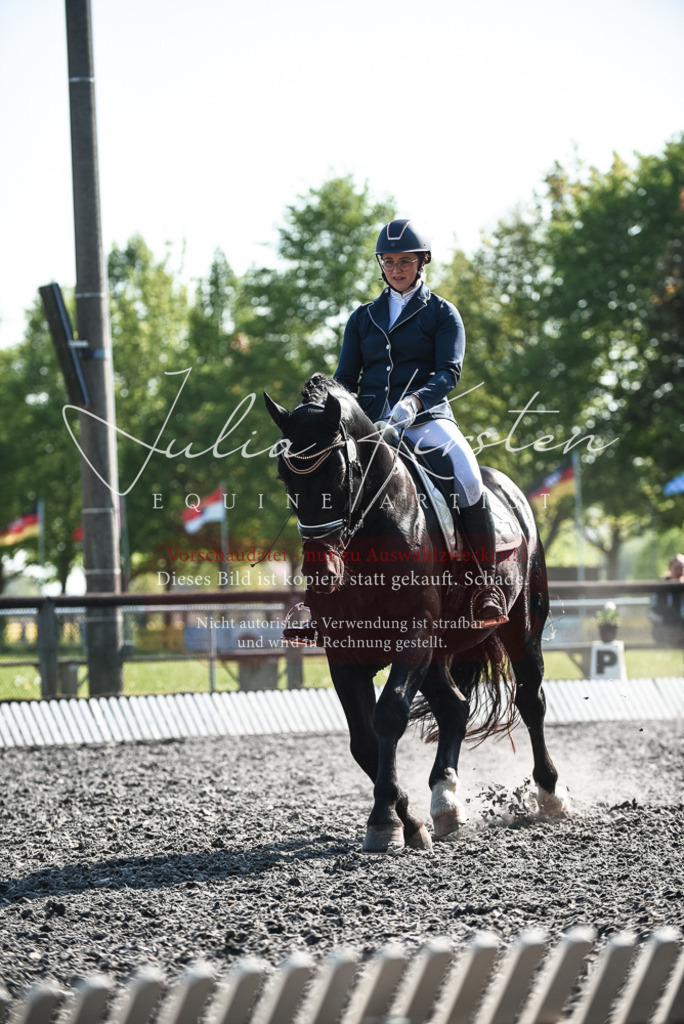 DSC_8466 | Pferde- und Turnierfotografie in Westsachsen. Pferdeportraits, Auftragszeichnungen und intuitive Kunst.