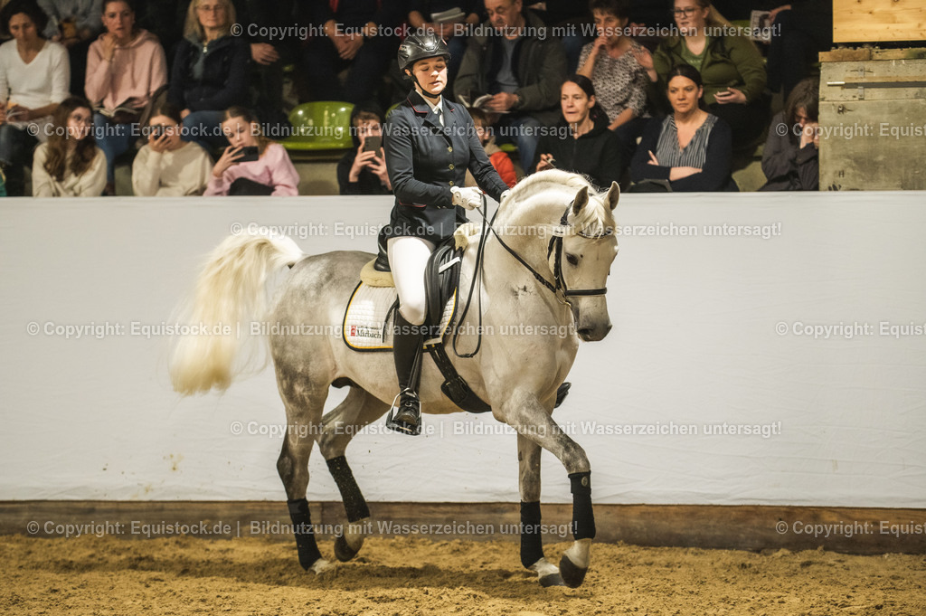 20240302_Hengstvorstellung_Marbach_TOMsPiC_0997 | equistock