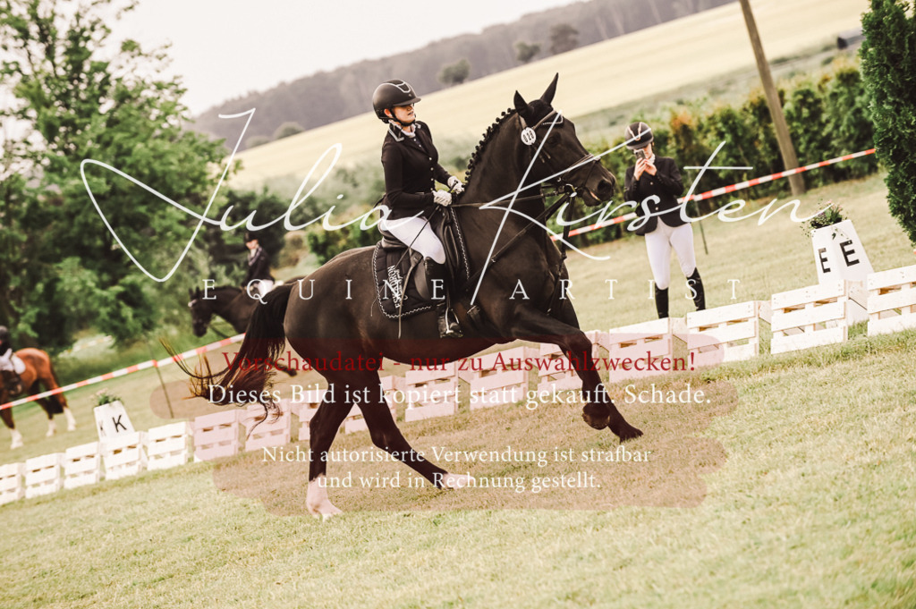 DSC_4935 | Pferde- und Turnierfotografie in Westsachsen. Pferdeportraits, Auftragszeichnungen und intuitive Kunst.