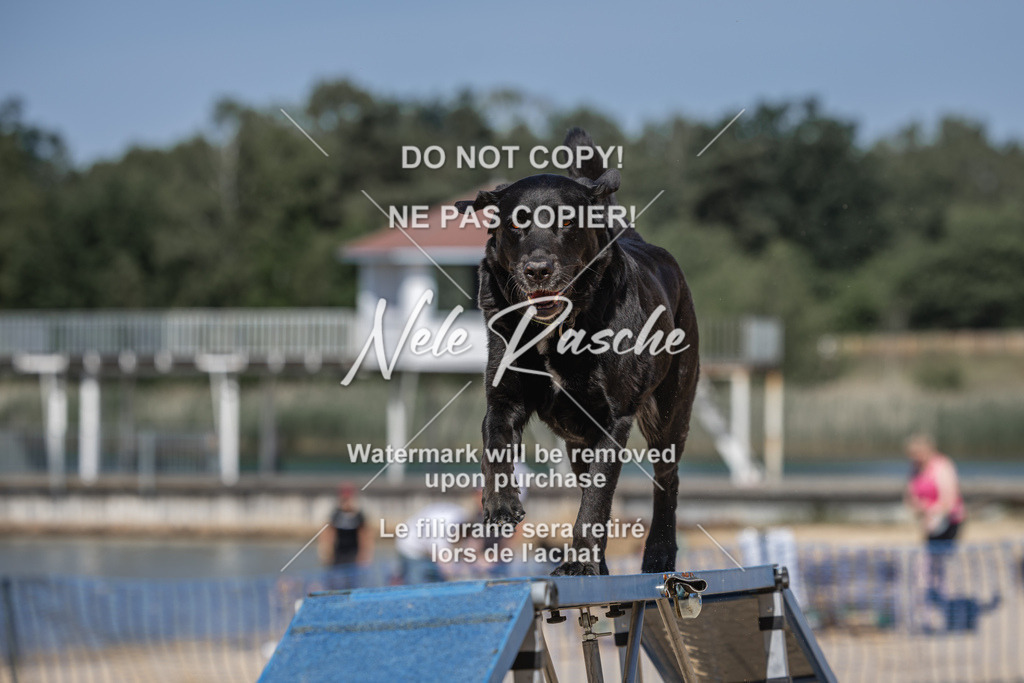 nelerasche_saBeachility_406 | nelerasche
