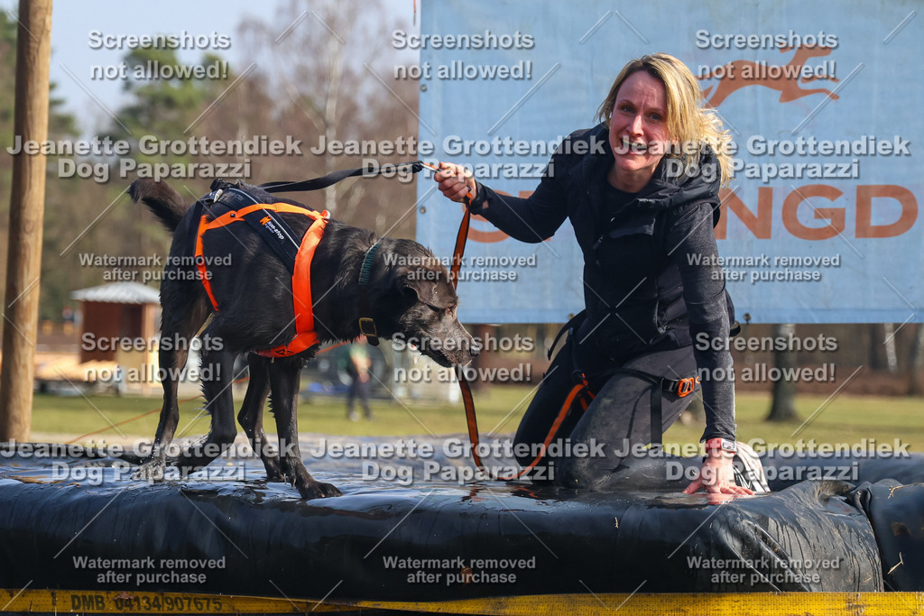 Dog Paparazzi - Strongdog North Mrz26-1947 | Dog Paparazzi Jeanette Grottendiek Fotografie & Videografie - Realisiert mit Pictrs.com