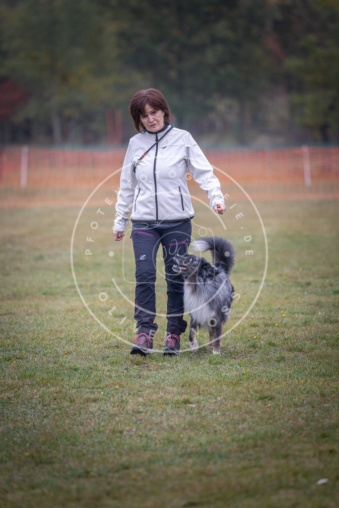 Pfotenfotografie_DV3A8975 | Hundefotografie, Tierfotograf, Pfotenfotografie, Fotoshooting Hund, Hunde Portrait, Hundesport, Hundeportraits, Heideshooting, Hunde, Sportfotograf, Hundefotograf, Turnierhundsport, THS,  - Realisiert mit Pictrs.com