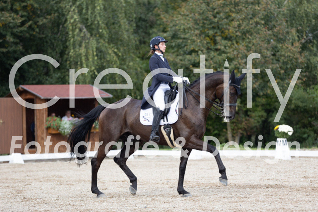 IMG_4919 | Creatify Fotografie