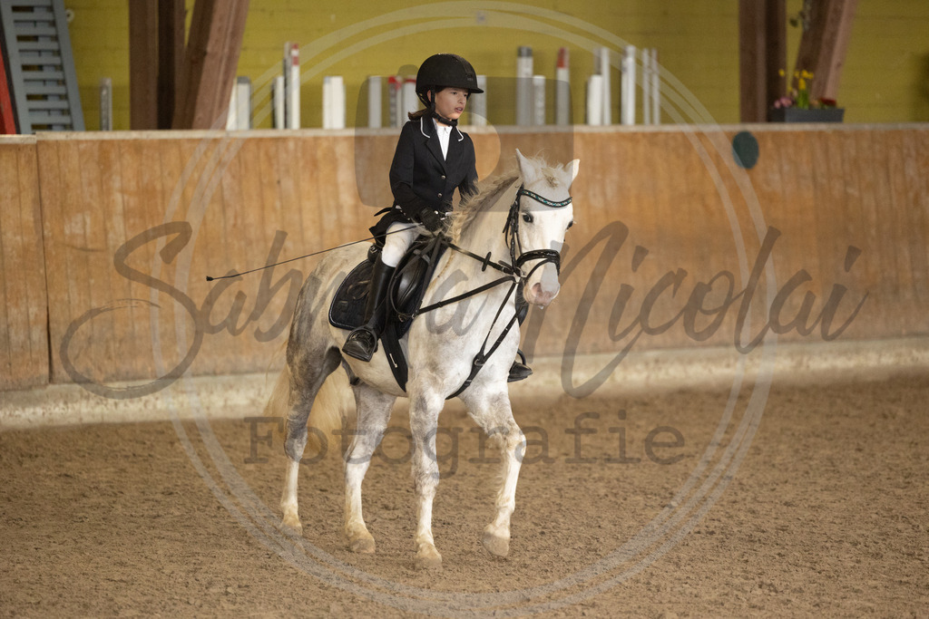 994A8781 | sabrinanicolaifotografie - Realisiert mit Pictrs.com