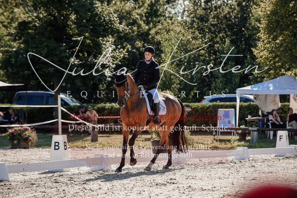 DSC_0316 | Pferde- und Turnierfotografie in Westsachsen. Pferdeportraits, Auftragszeichnungen und intuitive Kunst.
