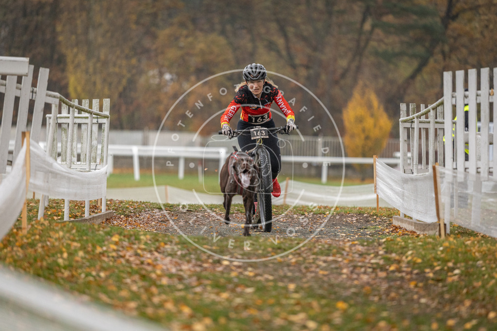 CaniXpix_DV3A7458 | Hundefotografie, Tierfotograf, Pfotenfotografie, Fotoshooting Hund, Hunde Portrait, Hundesport, Hundeportraits, Heideshooting, Hunde, Sportfotograf, Hundefotograf, Turnierhundsport, THS,  - Realisiert mit Pictrs.com