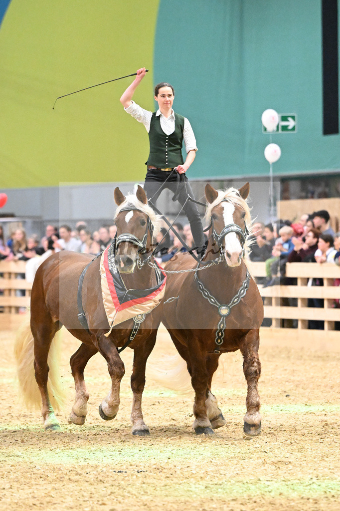 Schauprogramm_Ungar. Post_1260941 | hf-fotografie - Realisiert mit Pictrs.com