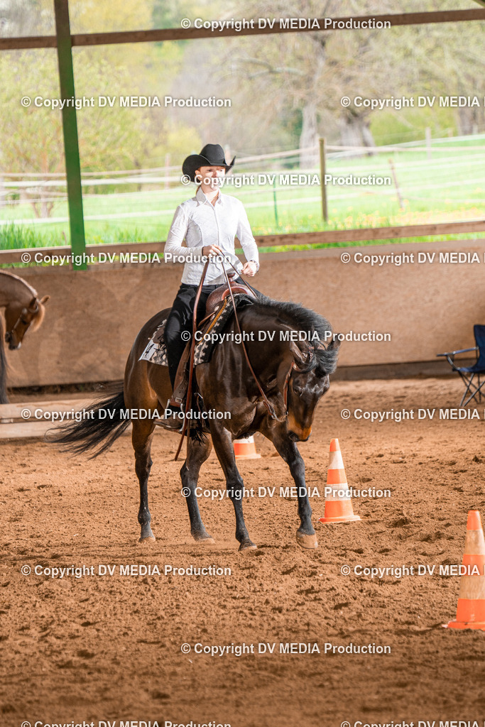 BAL00653 | dv-media-shop - Realisiert mit Pictrs.com