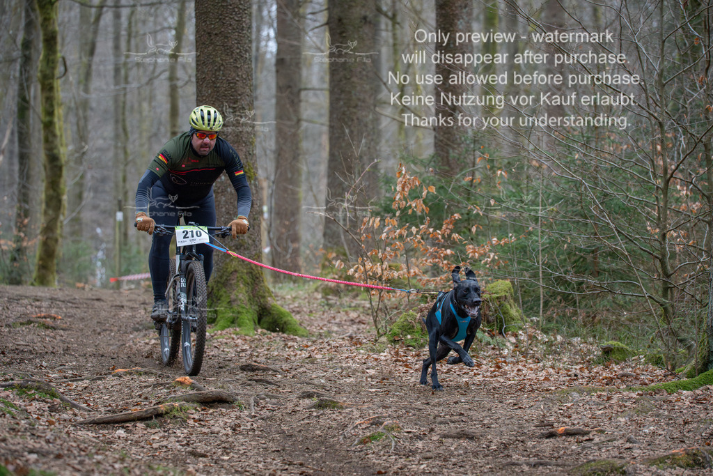 Bike_So-45 | stephaniefillaphotographie - Realisiert mit Pictrs.com