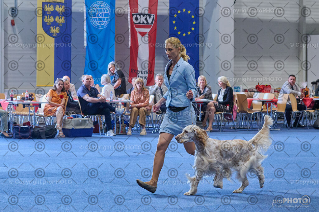 202406_ÖKV-IHA-Tulln24_DSC_5058 | proPHOTO - Realisiert mit Pictrs.com
