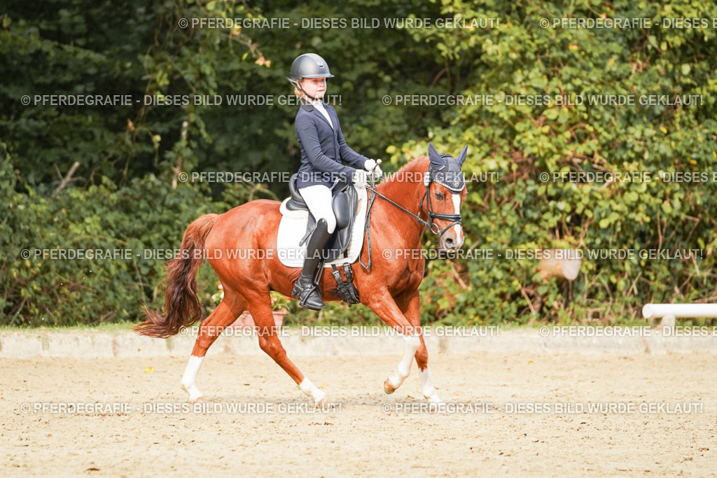 DSC03861 | Pferdegrafie