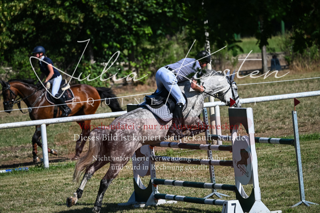 DSC_1974 | Pferde- und Turnierfotografie in Westsachsen. Pferdeportraits, Auftragszeichnungen und intuitive Kunst.