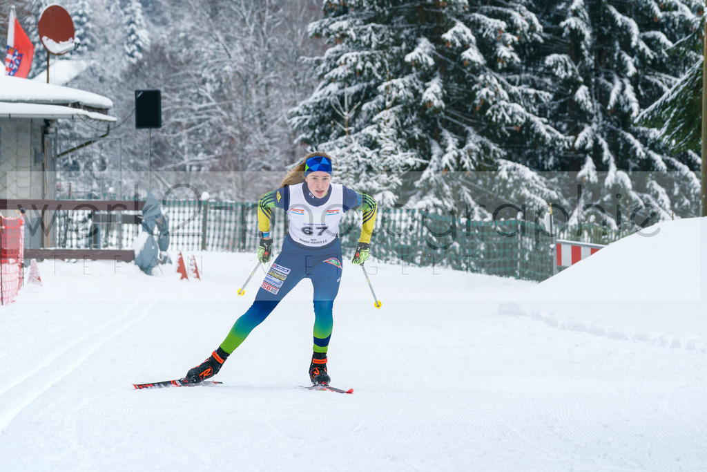 Thüringer Meisterschaften Biathlon - Scheibe-Alsbach | Scheibe-Alsbach am 28. + 29. Januar 2023