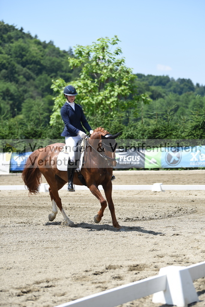 DSC_0575 | equestrian-live-com
