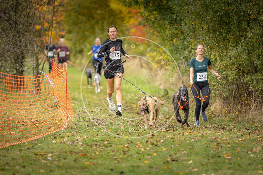 Pfotenfotografie_DV3A4711 | Hundefotografie, Tierfotograf, Pfotenfotografie, Fotoshooting Hund, Hunde Portrait, Hundesport, Hundeportraits, Heideshooting, Hunde, Sportfotograf, Hundefotograf, Turnierhundsport, THS,  - Realisiert mit Pictrs.com