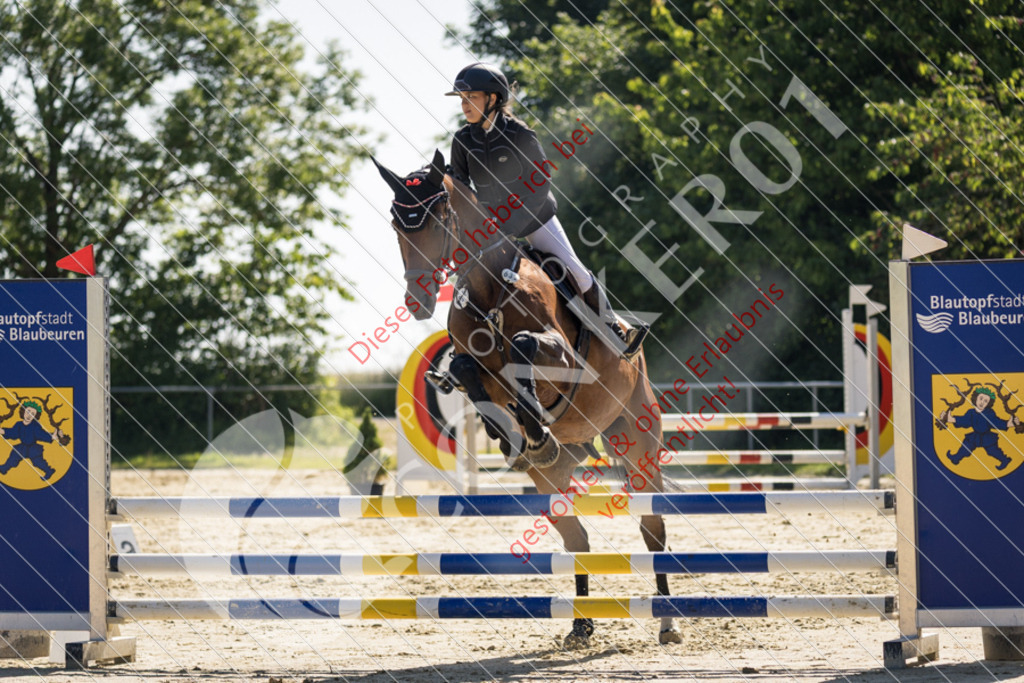 IMG_2912 | Sport-, Event- und Tierfotos in Profiqualität. Einfach auswählen, bestellen und herunterladen. Dein Moment – perfekt festgehalten.