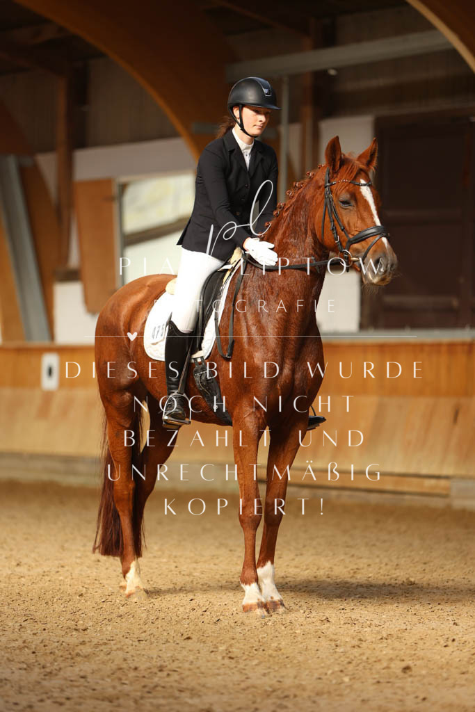 IMGM4087 | pl-fotografie