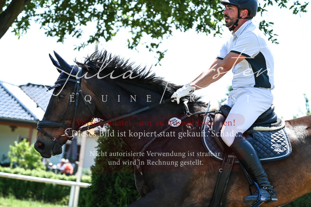 DSC_0338 | Pferde- und Turnierfotografie in Westsachsen. Pferdeportraits, Auftragszeichnungen und intuitive Kunst.