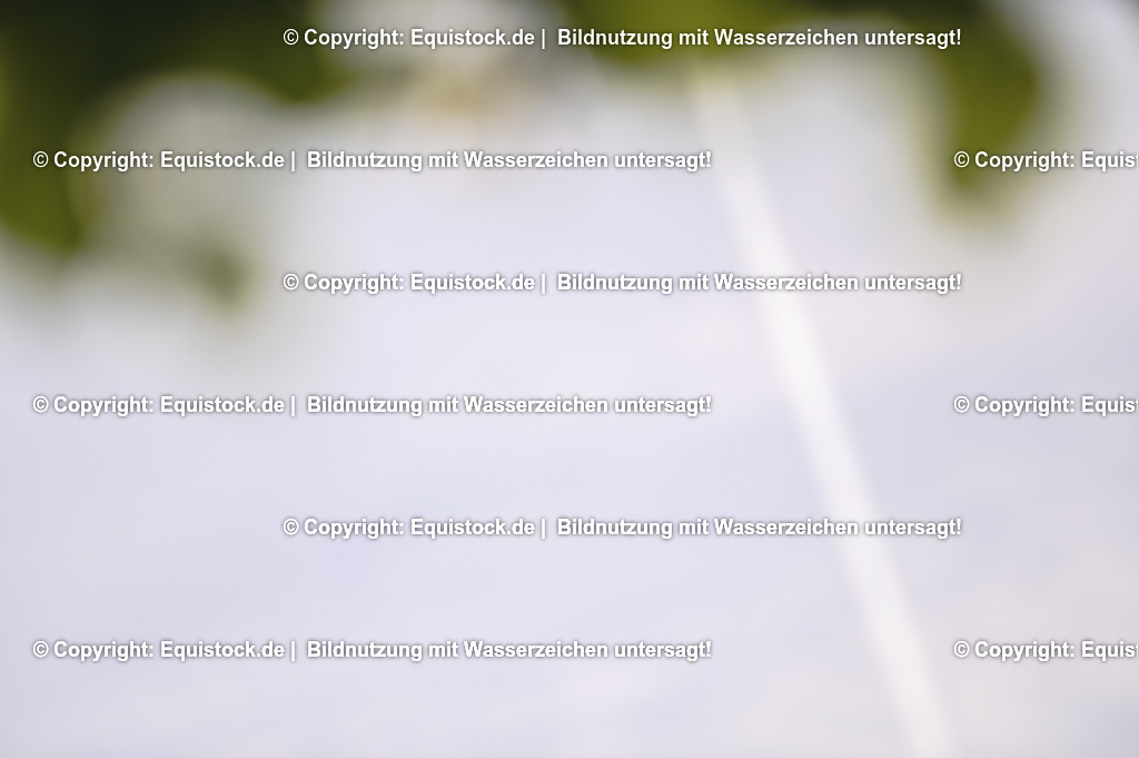 20230529_20_CSI4_Großer-Preis_0795 | equistock