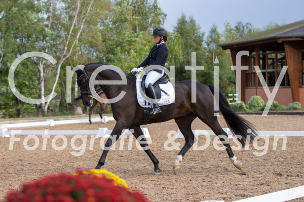 IMG_5977 | Creatify Fotografie