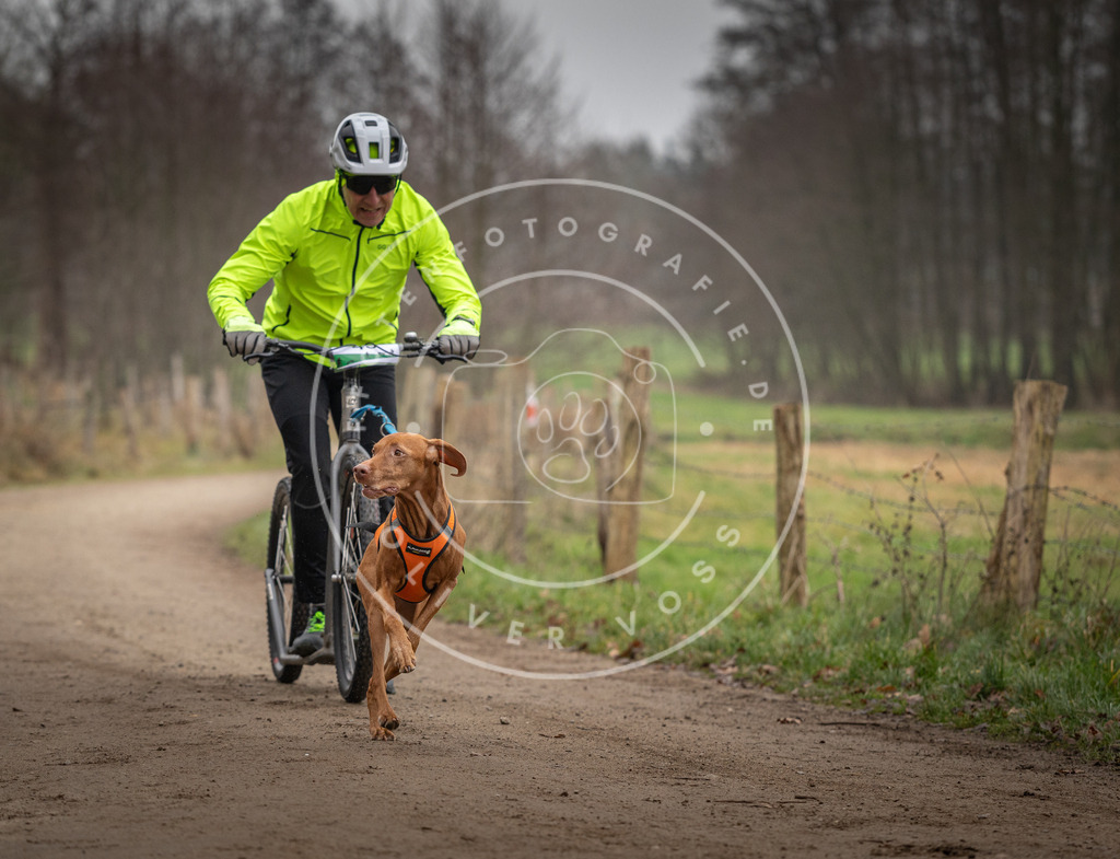 Pfotenfotografie_DV3A2656 | Hundefotografie, Tierfotograf, Pfotenfotografie, Fotoshooting Hund, Hunde Portrait, Hundesport, Hundeportraits, Heideshooting, Hunde, Sportfotograf, Hundefotograf, Turnierhundsport, THS,  - Realisiert mit Pictrs.com