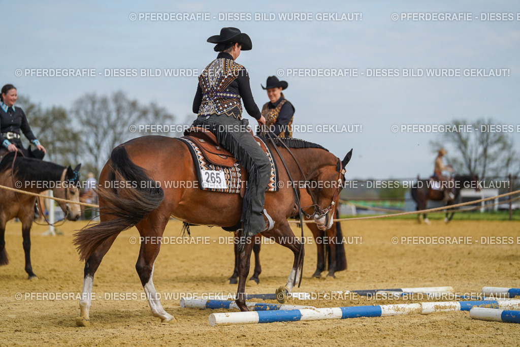 DSC03917 | Pferdegrafie