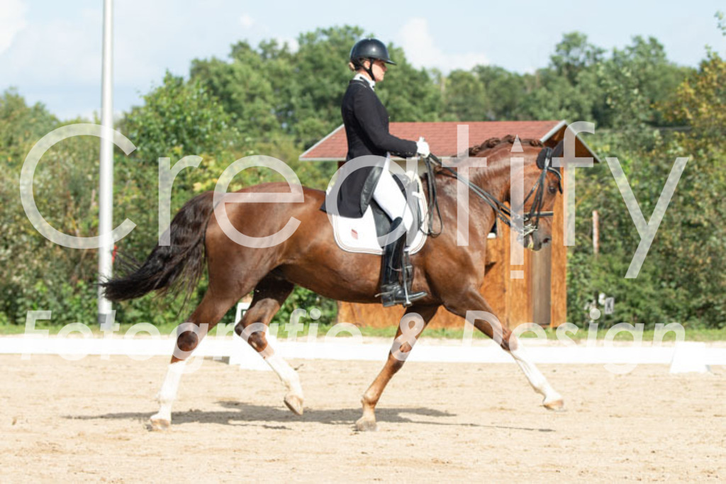 IMG_3878 | Creatify Fotografie