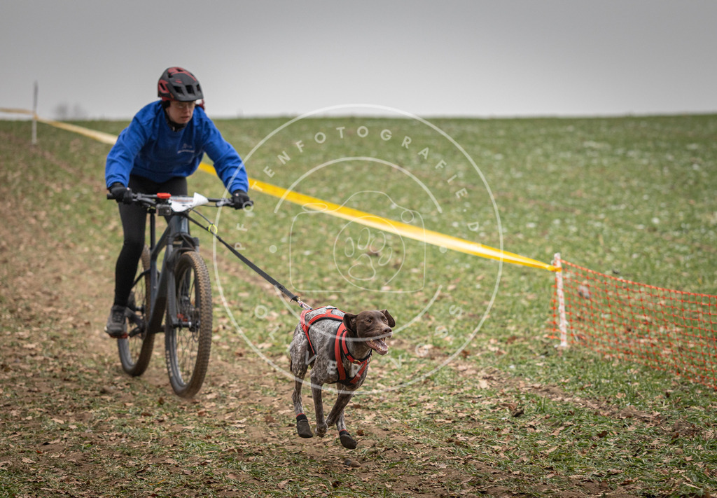 Pfotenfotografie_DV3A2884 | Hundefotografie, Tierfotograf, Pfotenfotografie, Fotoshooting Hund, Hunde Portrait, Hundesport, Hundeportraits, Heideshooting, Hunde, Sportfotograf, Hundefotograf, Turnierhundsport, THS,  - Realisiert mit Pictrs.com