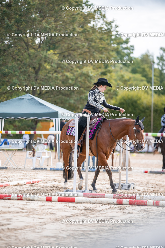 ZS3_4837 | dv-media-shop - Realisiert mit Pictrs.com