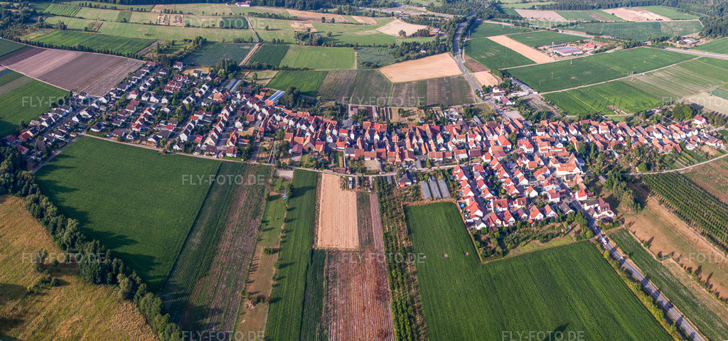 Luftbild: Ortsansicht von Norden in Erlenbach bei Kandel im Bundesland Rheinland-Pfalz in Deutschland. Foto: IMG_69760-Bearbeitet.jpg vom 04.07.2014 durch Werner Riehm/FLY-FOTO.deAuflösung des Originals: 8896 x 4172 px