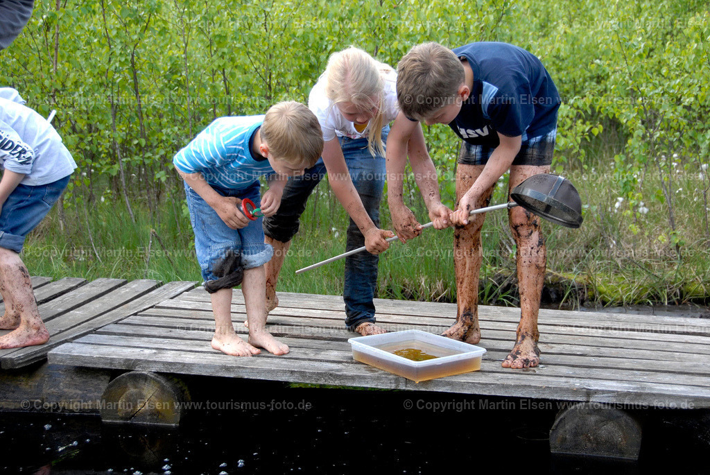 Moorkieker_DSC01 (203) | Aschhorn Drochtersen - Aufnahmedatum: 10.05.2009, Aufnahmehöhe:  m, Koordinaten:  - , Bildgröße: 3872 x  2592 Pixel - Copyright 2009 by Martin Elsen, Kontakt: Tel.: +49 157 74581206, E-Mail: info@schoenes-foto.deSchlagwörter: Moorkieker,Aschorner Moor,,Torfabbau, Wollgras,Torf,Fahrt,Zuf,Wagen,See,Wasser,Kinder,Landschaft, - Realisiert mit Pictrs.com