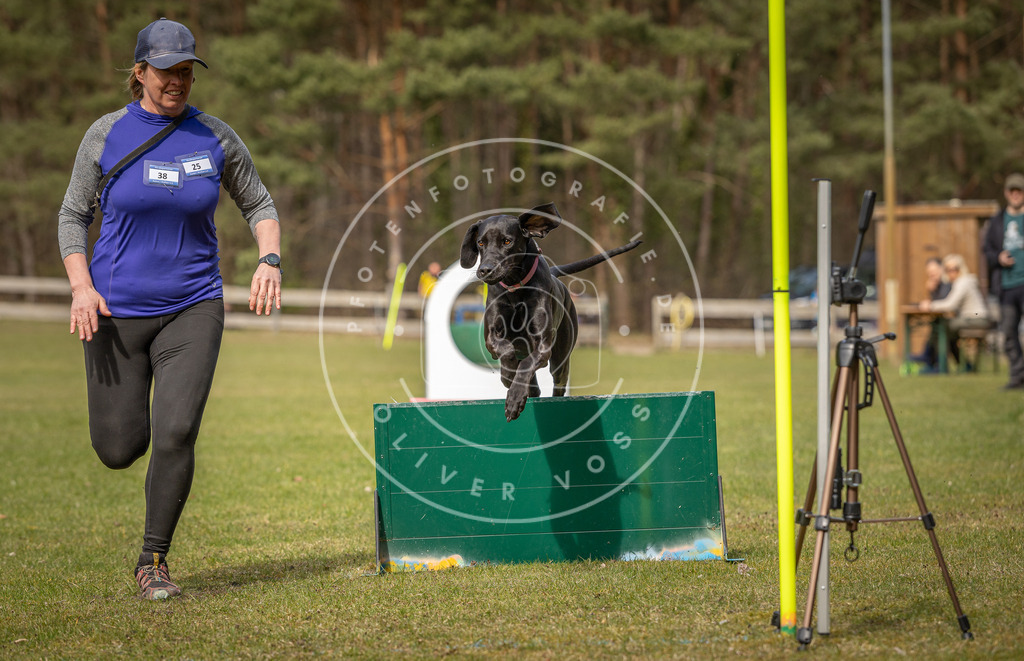 Pfotenfotografie_DV3A8567 | Hundefotografie, Tierfotograf, Pfotenfotografie, Fotoshooting Hund, Hunde Portrait, Hundesport, Hundeportraits, Heideshooting, Hunde, Sportfotograf, Hundefotograf, Turnierhundsport, THS,  - Realisiert mit Pictrs.com