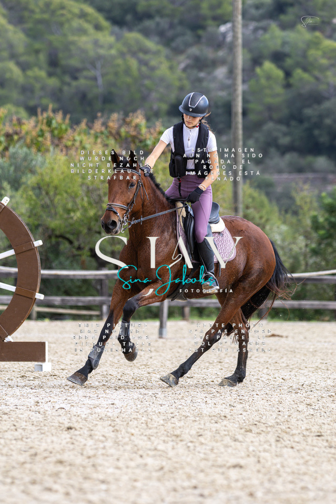 IMG_2661 | s-jay-photography - Realisiert mit Pictrs.com