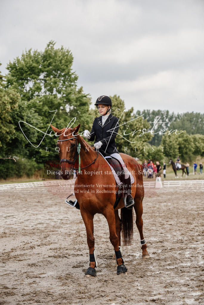 DSC_9381 | Pferde- und Turnierfotografie in Westsachsen. Pferdeportraits, Auftragszeichnungen und intuitive Kunst.