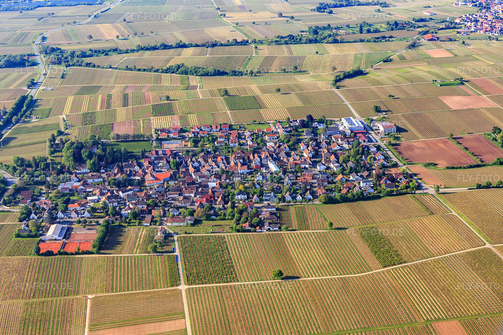 Luftbild: Ortsansicht aus Norden in Walsheim im Bundesland Rheinland-Pfalz in Deutschland. Foto: IMG_120712.jpg vom 03.05.2020 durch Werner Riehm/FLY-FOTO.de