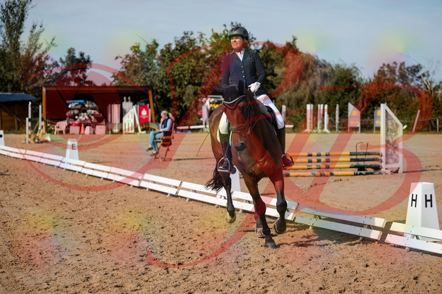 2026_10_03_Siefer-Hof_123050_Z63_51967452 | Professionelle Reitsport-, Turnier- und Eventfotografie von Robert Broda. Galerien mit ausgewählten und bearbeiteten Bildern direkt online ansehen und bestellen.