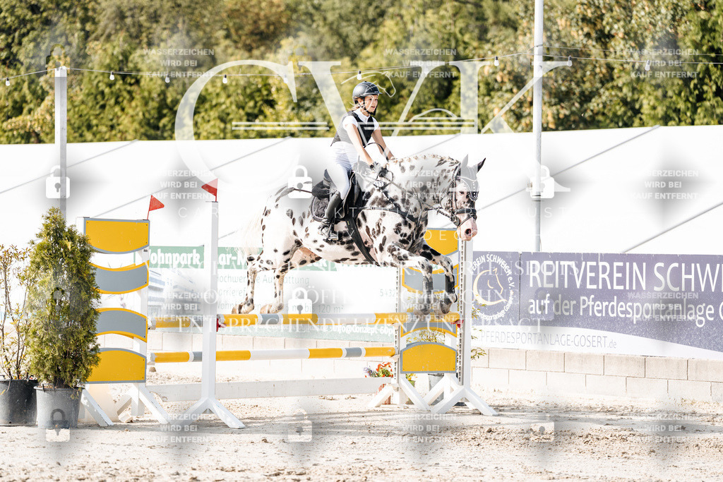 CK905959 | Turnierfotografie Pferdefotografie Trier Rheinland-Pfalz Pferdesport Reitsport Tierfotografie Sportfotografie Pferdevideo Pferdevideografie Equestrianvideography equestrianphotography  - Realisiert mit Pictrs.com