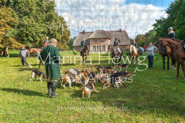 Jagd Perdoel_MarinaHewigDSCF3948 | Fotografie, FotoArt, PferdesportArt, Pferdesportfotografie, Landschaftsfotografie, Reisefotografie, Reise, Pferde - Realisiert mit Pictrs.com