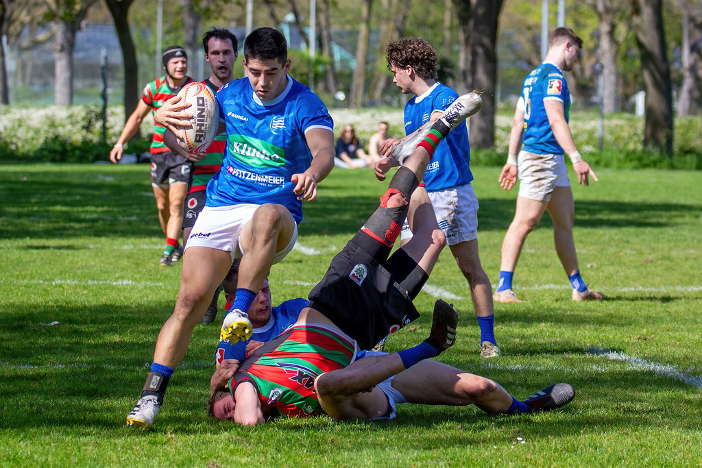 Heidelberg, 06.04.2024, Rugby 1. Bundesliga Süd/West, Saison 2023/24, 10. Spieltag: SC Neuenheim gegen RK Heusenstamm (93:7) | Heidelberg, 06.04.2024, Rugby 1. Bundesliga Süd/West, Saison 2023/24, 10. Spieltag: SC Neuenheim gegen RK Heusenstamm (93:7) - Realisiert mit Pictrs.com