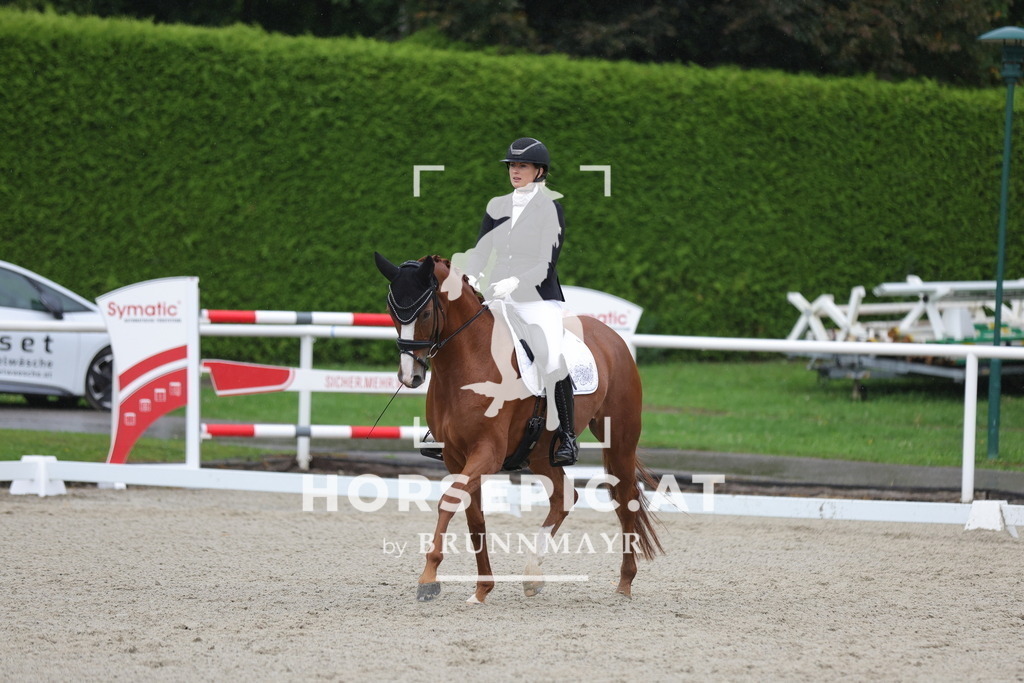 0P6A0108 | Willkommen bei Brunnmayr - Design & Fotografie – Ihrem Spezialisten für Reitturniere und Pferdeveranstaltungen in Oberösterreich, Salzburg und Bayern! Seit über 17 Jahren sind wir leidenschaftlich dabei.