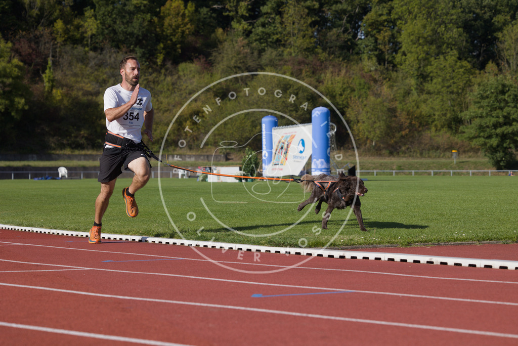 0L8A9875 | Hundefotografie, Tierfotograf, Pfotenfotografie, Fotoshooting Hund, Hunde Portrait, Hundesport, Hundeportraits, Heideshooting, Hunde, Sportfotograf, Hundefotograf, Turnierhundsport, THS,  - Realisiert mit Pictrs.com