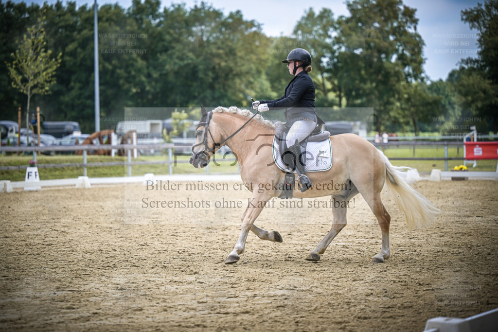 DOS_3774 | Entdecke hochwertige Reitturnierfotos von Foto Oger. Professionell, emotional und authentisch – jetzt Lieblingsmomente im Shop bestellen. - Realisiert mit Pictrs.com