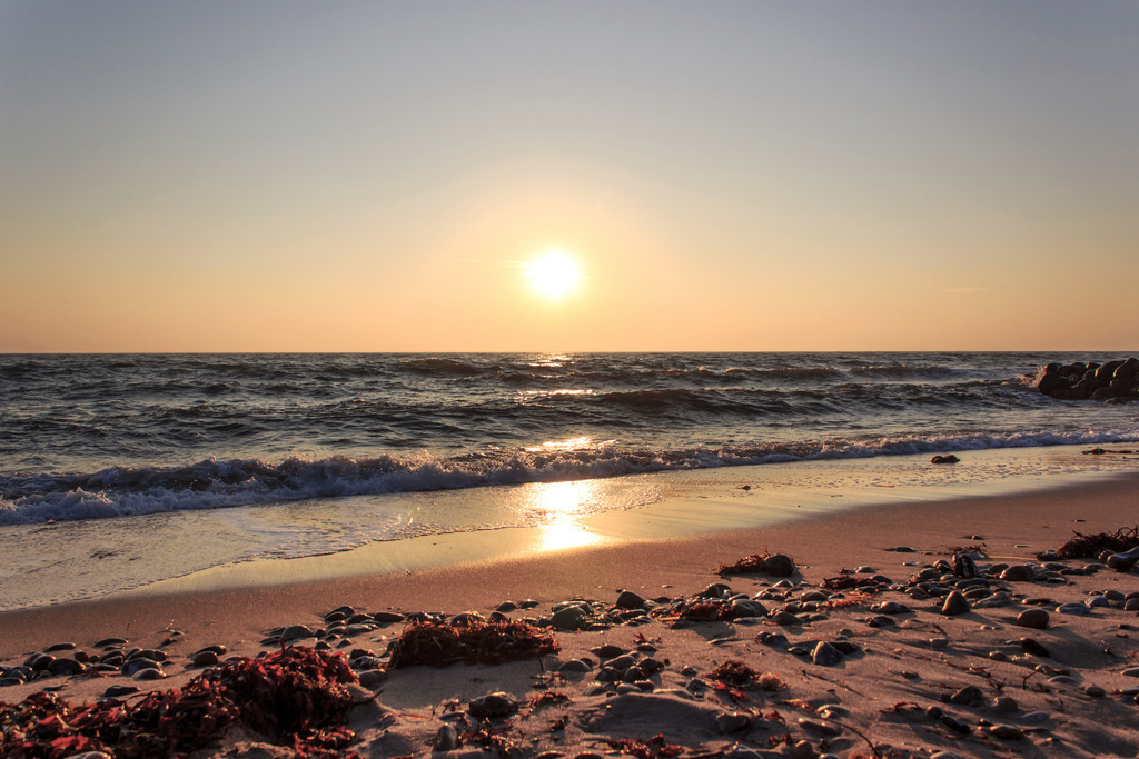 Wandbild: Sonnenaufgang an der Ostsee | Dieses Wandbild im Querformat zeigt einen malerischen Sonnenaufgang an der Ostsee. Die Sonne spiegelt sich auf dem Meer. Im Vordergrund ist der schöne Sandstrand zu sehen, an dem Steine und Seetang liegen. Der Himmel leuchtet in einem schönen orange.  - Realisiert mit Pictrs.com